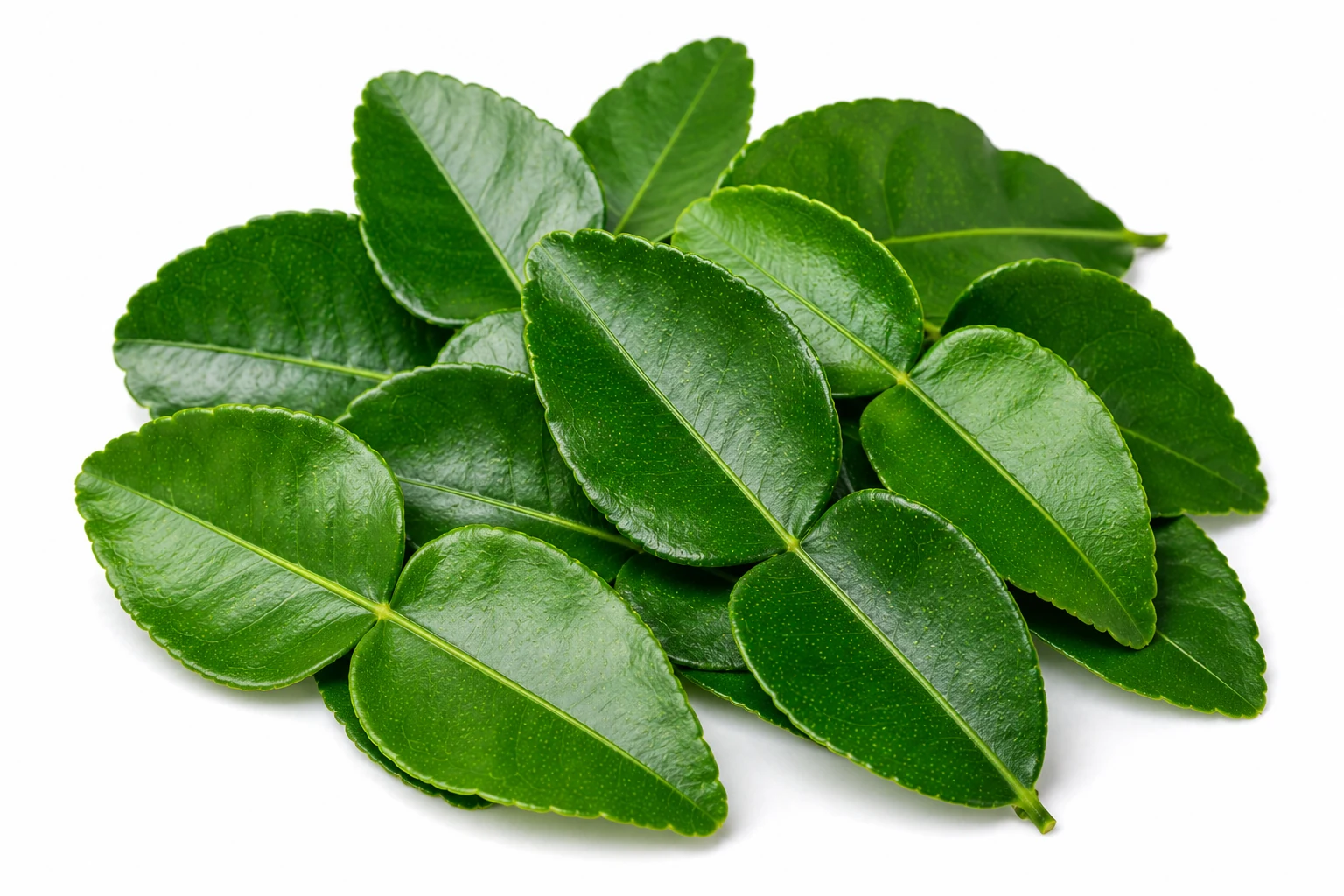 Makrut Lime Leaves