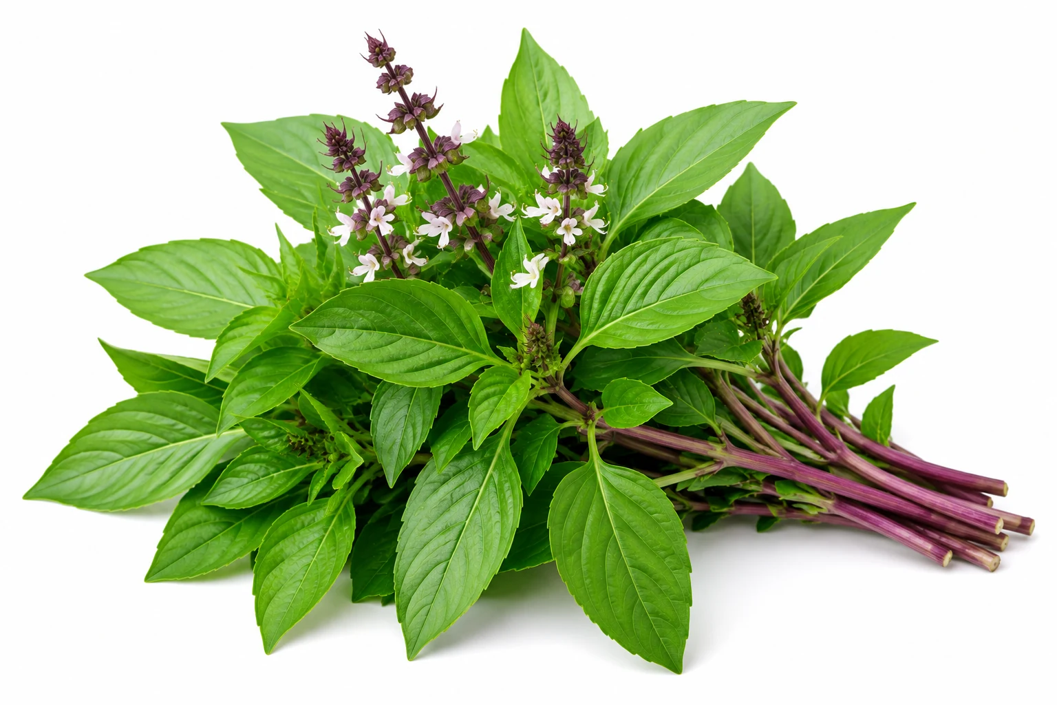 Thai Basil
