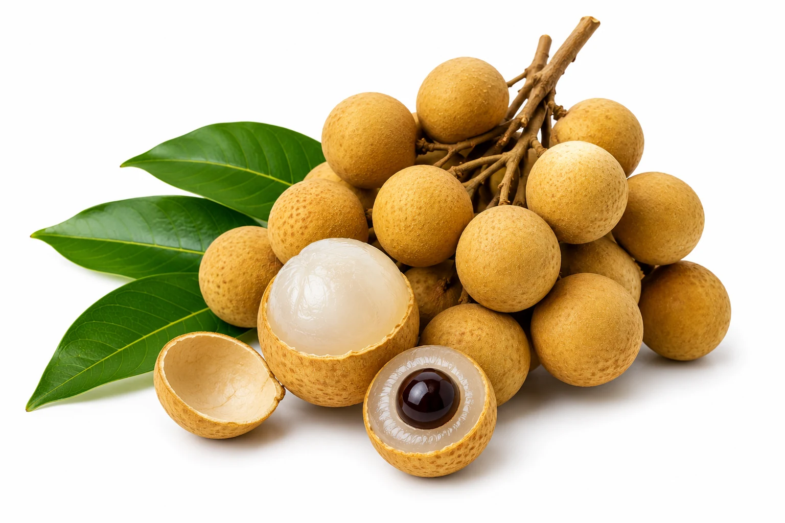 Thai Longan from Thailand